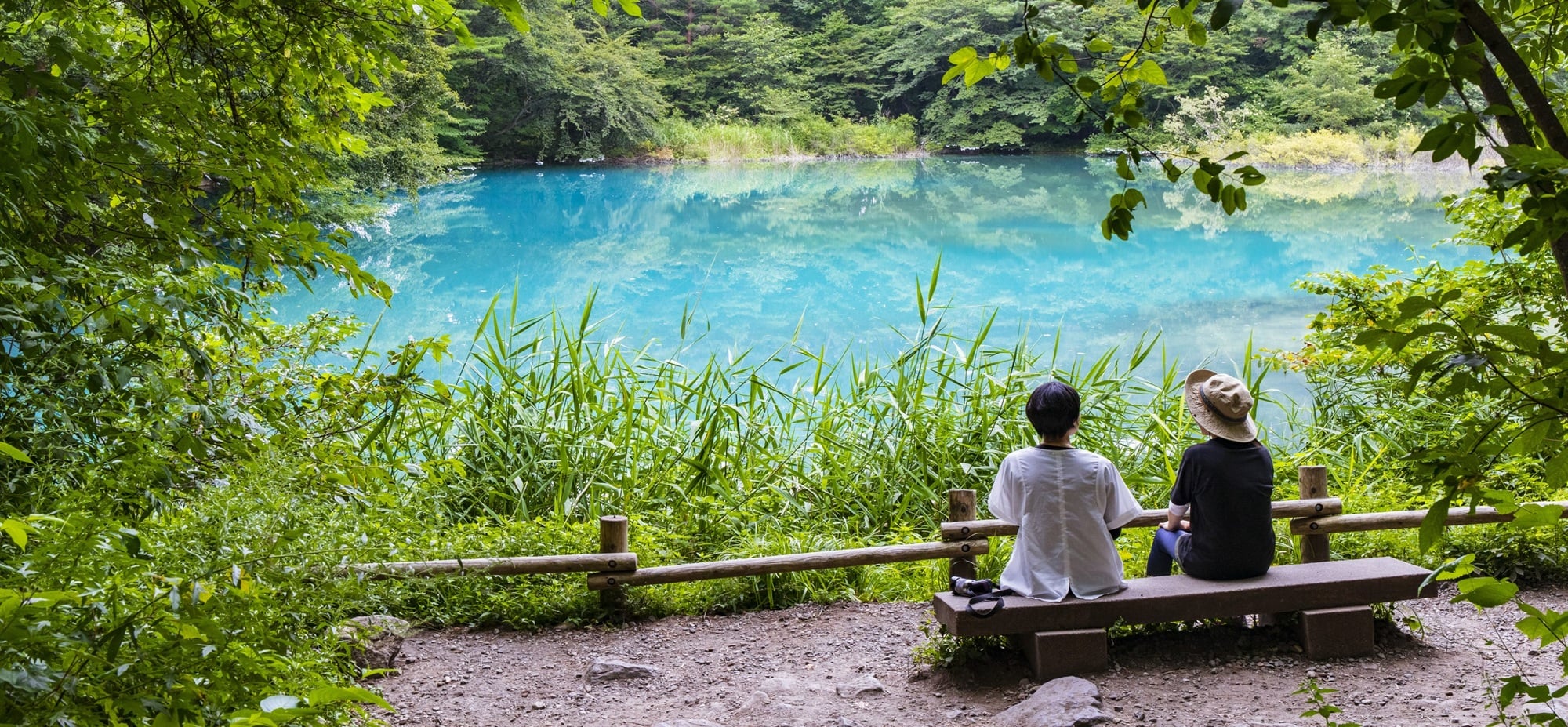 休暇村裏磐梯 — 福島県北塩原村・檜原湖畔の磐梯朝日国立公園内、五色沼の湖畔風景