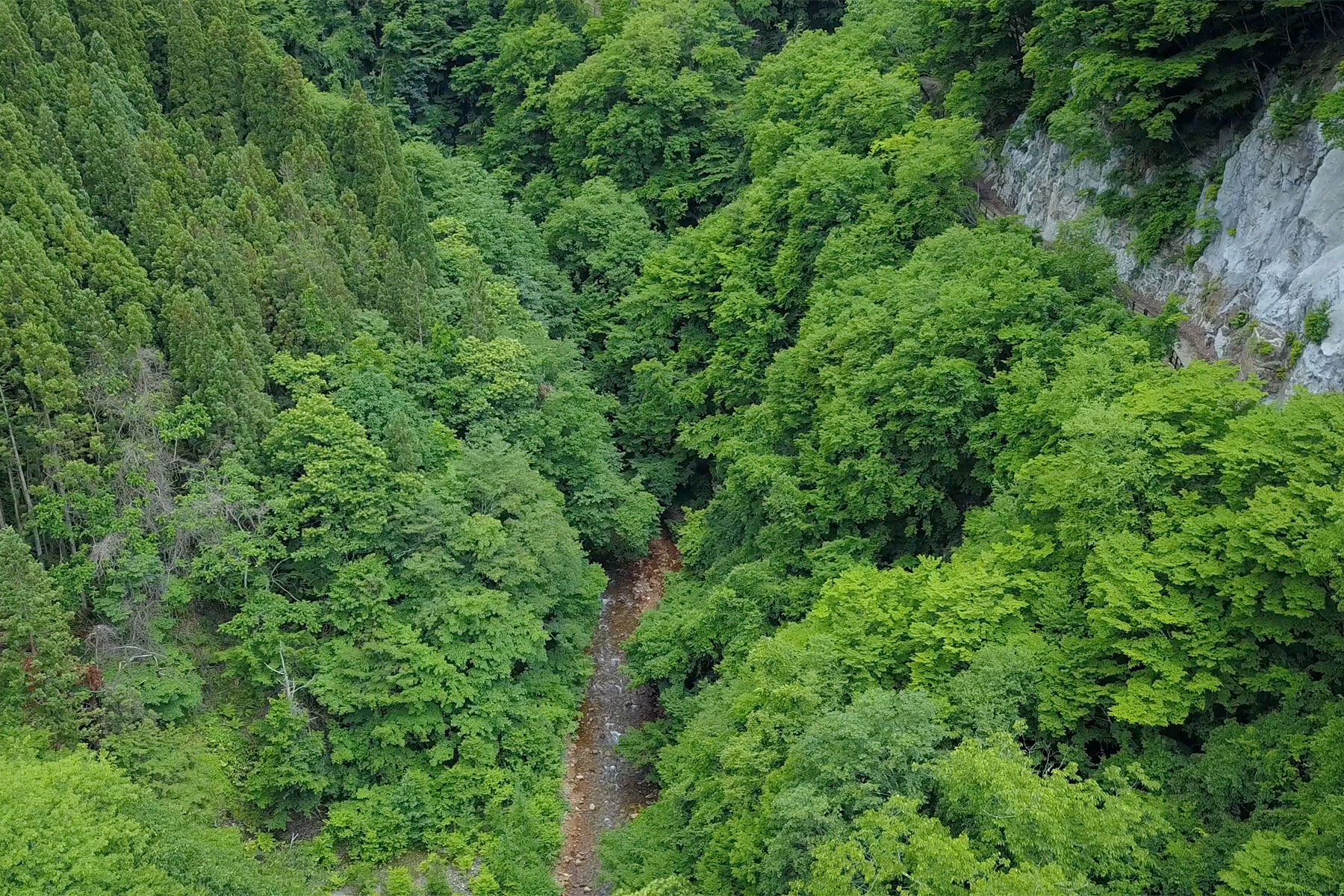 緑霞山宿 藤井荘 — 長野・山田温泉 · 松川渓谷を望む数寄屋造りの老舗旅館