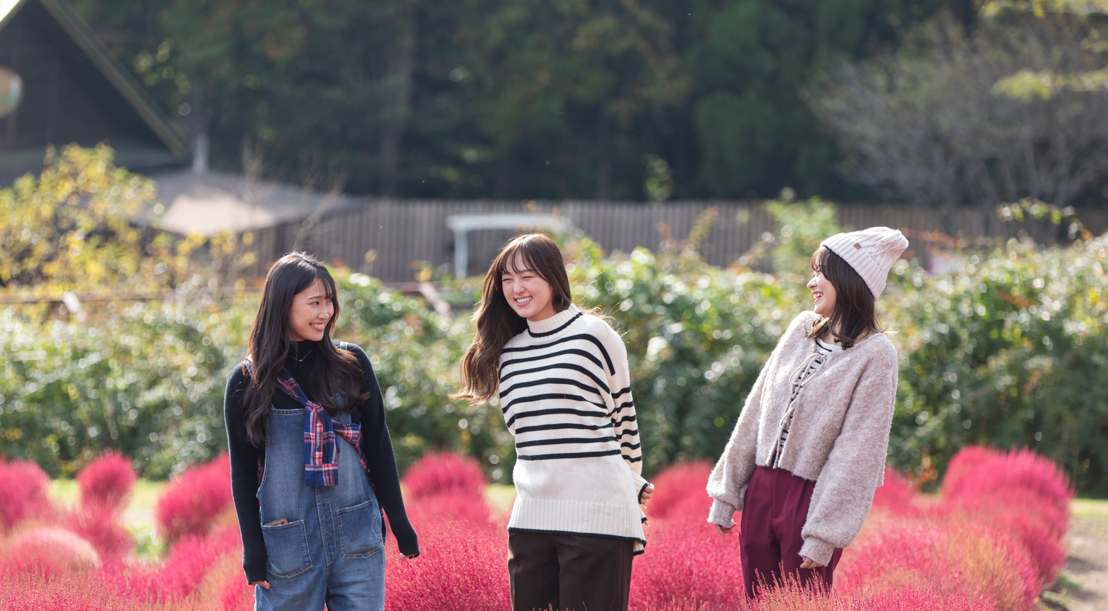くじゅう花公園 グランピングパーク花と星 — 大分・竹田市 · 標高850mの花公園内グランピング、家族用テント・キャビン型客室