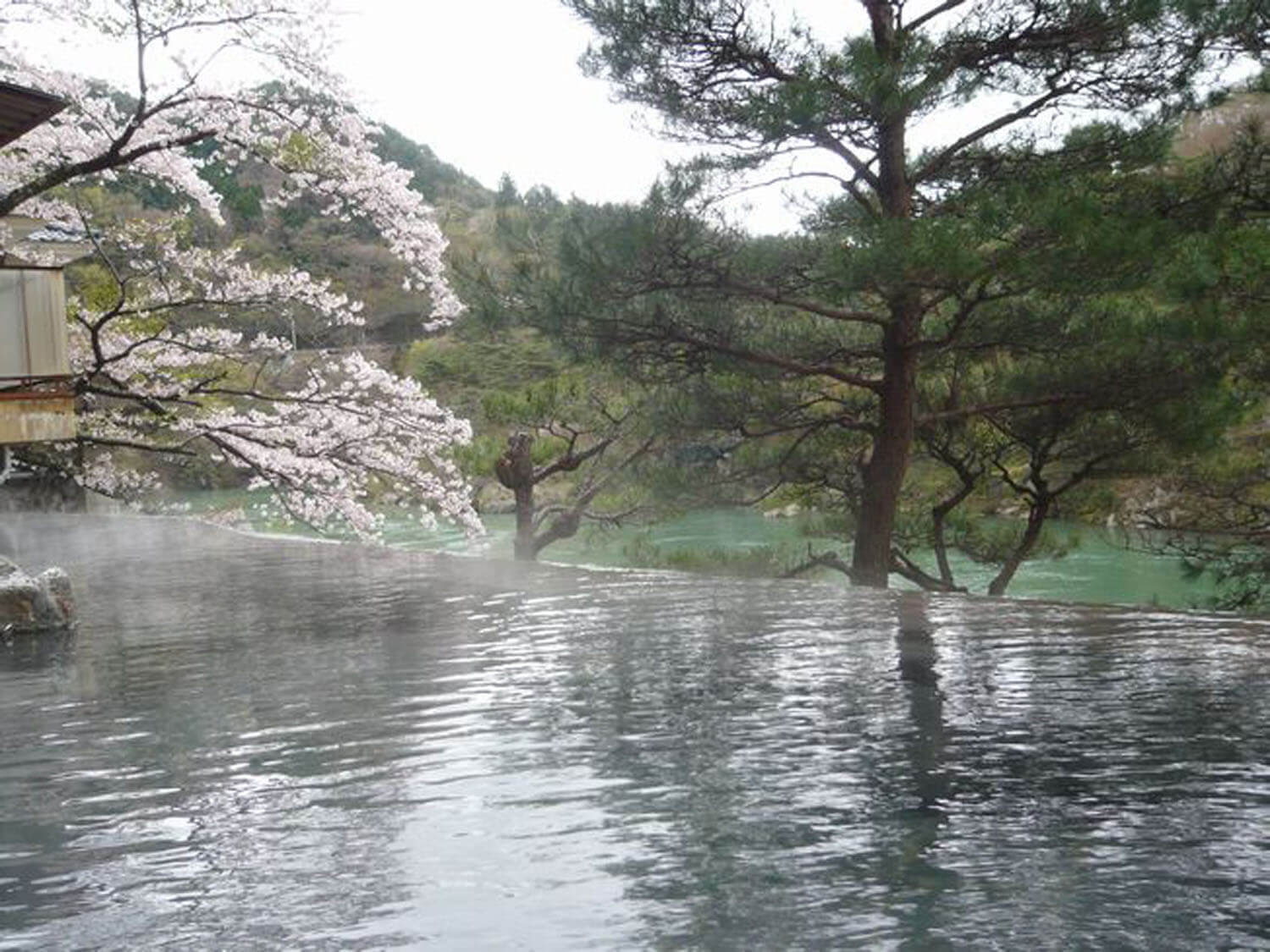 湯けむりの里 柏屋 — 栃木・川治温泉 · 鬼怒川と男鹿川の渓谷に建つ温泉宿