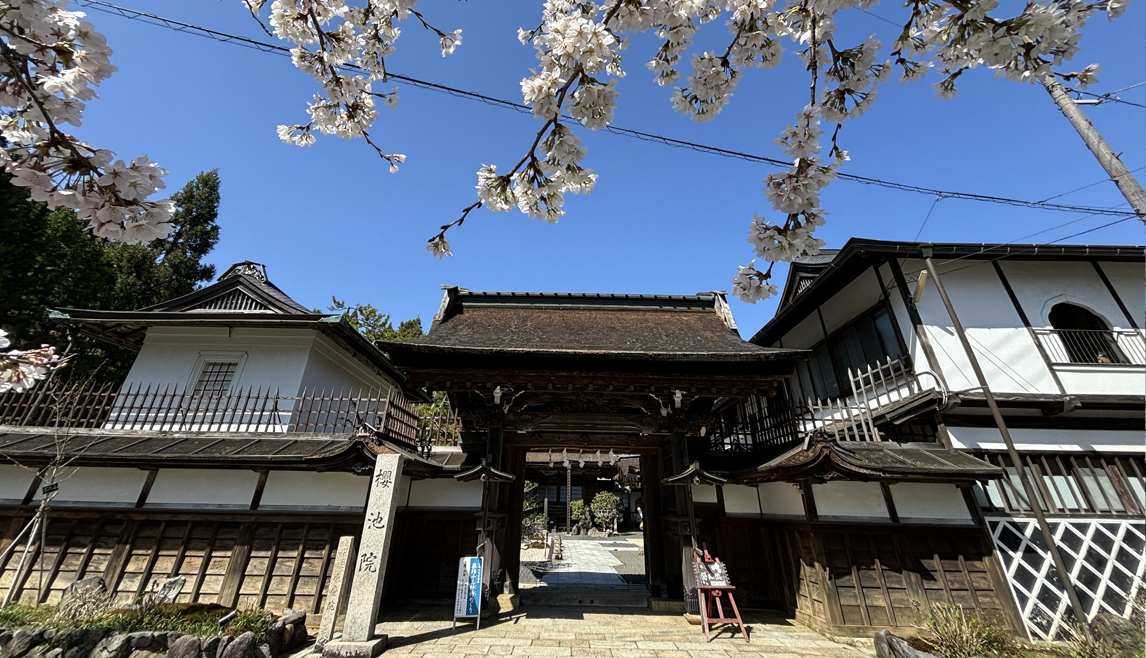高野山 宿坊 桜池院 — 和歌山県高野町 · 庭園を望む宿坊、夕朝食とも精進料理で動物性食材を使わない