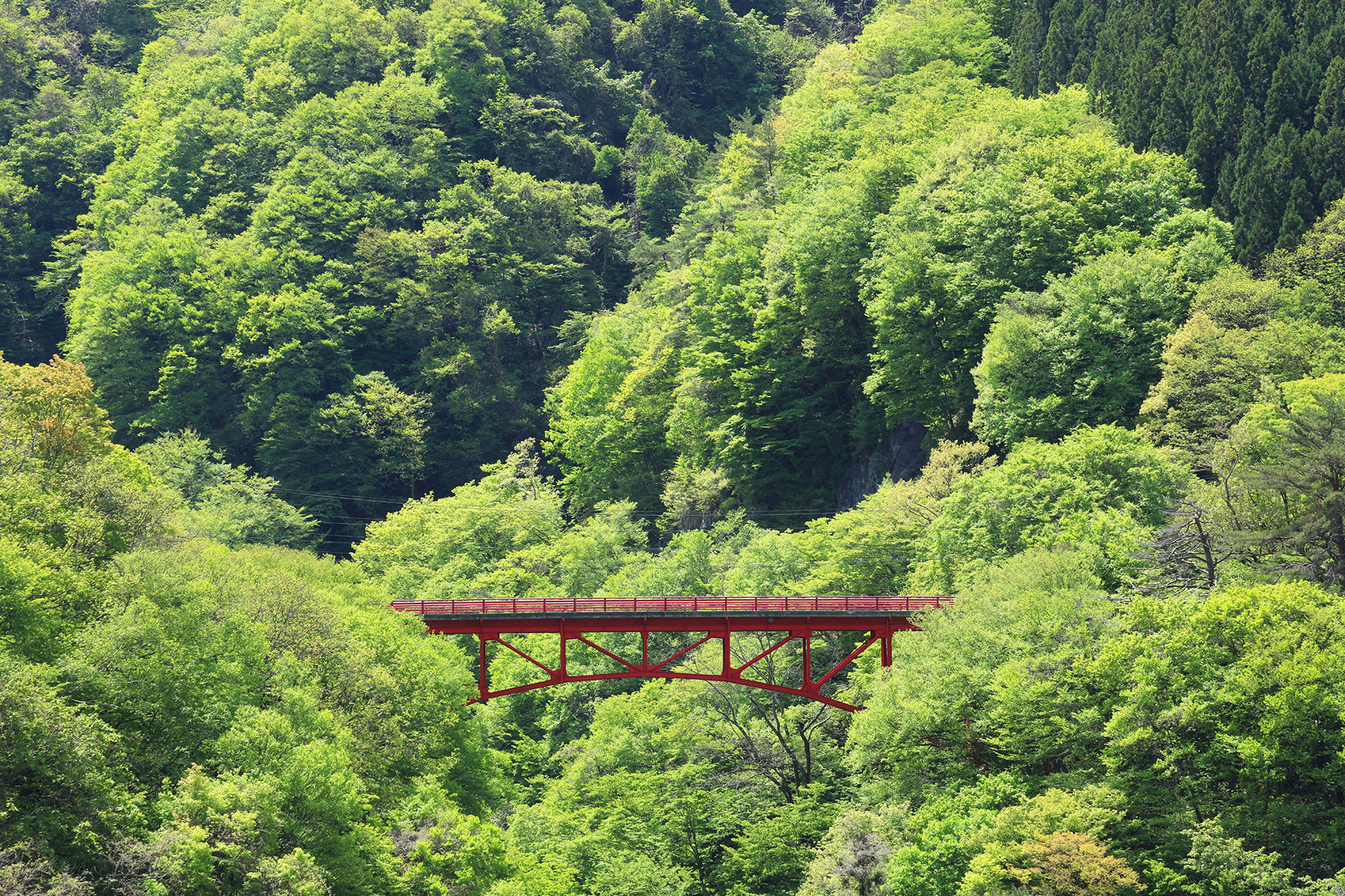 緑霞山宿 藤井荘 — 長野県高山村山田温泉 · 松川渓谷を望む24室の老舗、貸切風呂と露天風呂付き客室
