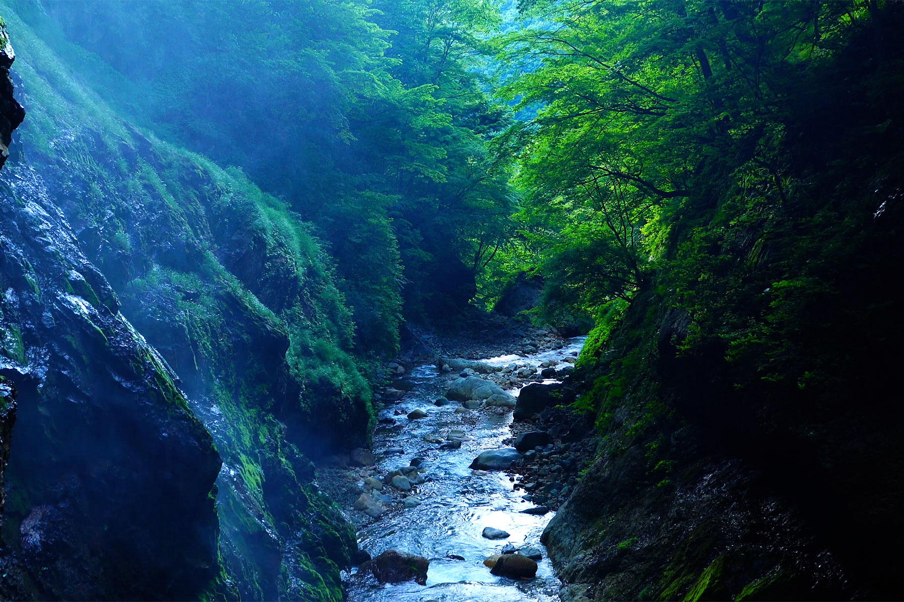 緑霞山宿 藤井荘 — 長野・高山村 · 松川渓谷沿いに建つ江戸期創業の老舗温泉旅館