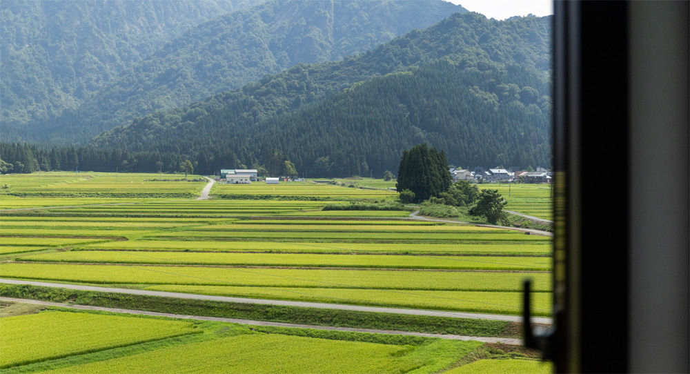 五十沢温泉ゆもとかん — 南魚沼市宮・客室から望む田植え後の青田と里山