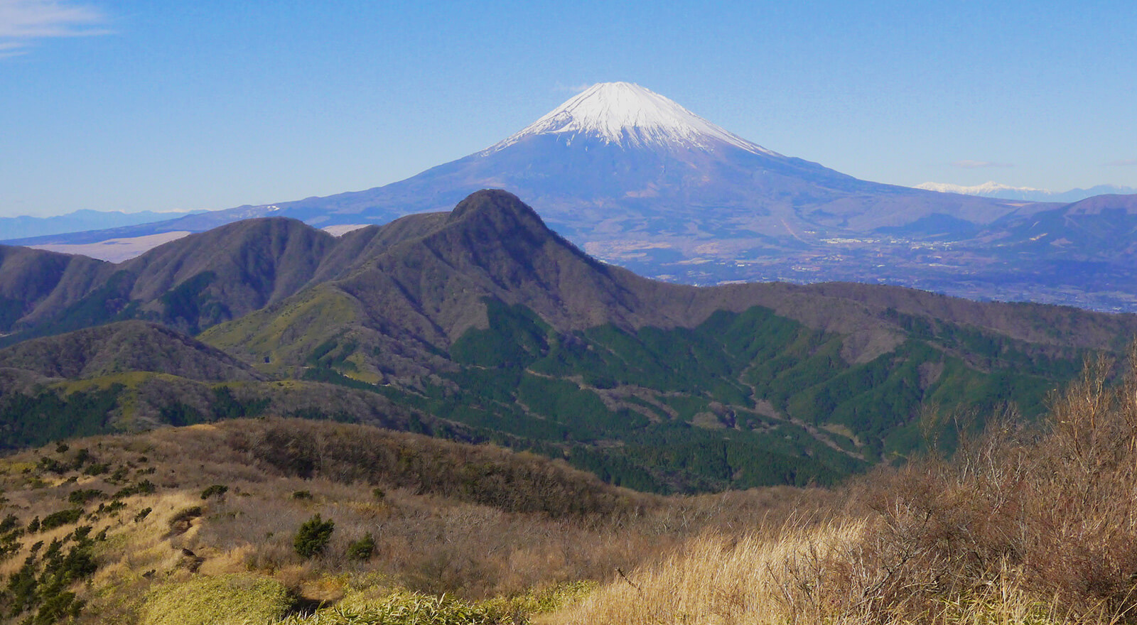 川涌の湯 マウントビュー箱根 — 箱根・仙石原 · にごり湯の貸切露天風呂を備えた家族向け温泉旅館