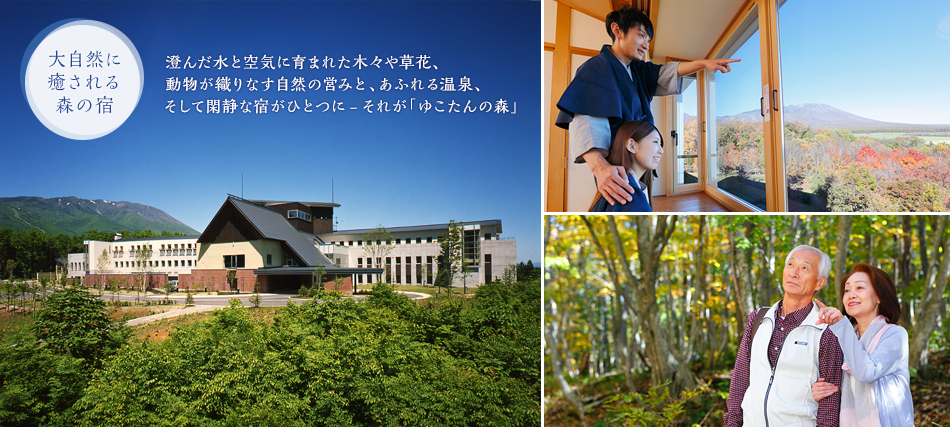 ゆこたんの森 — 岩手県雫石町 · 森のなかに檜と岩の露天が点在する宿
