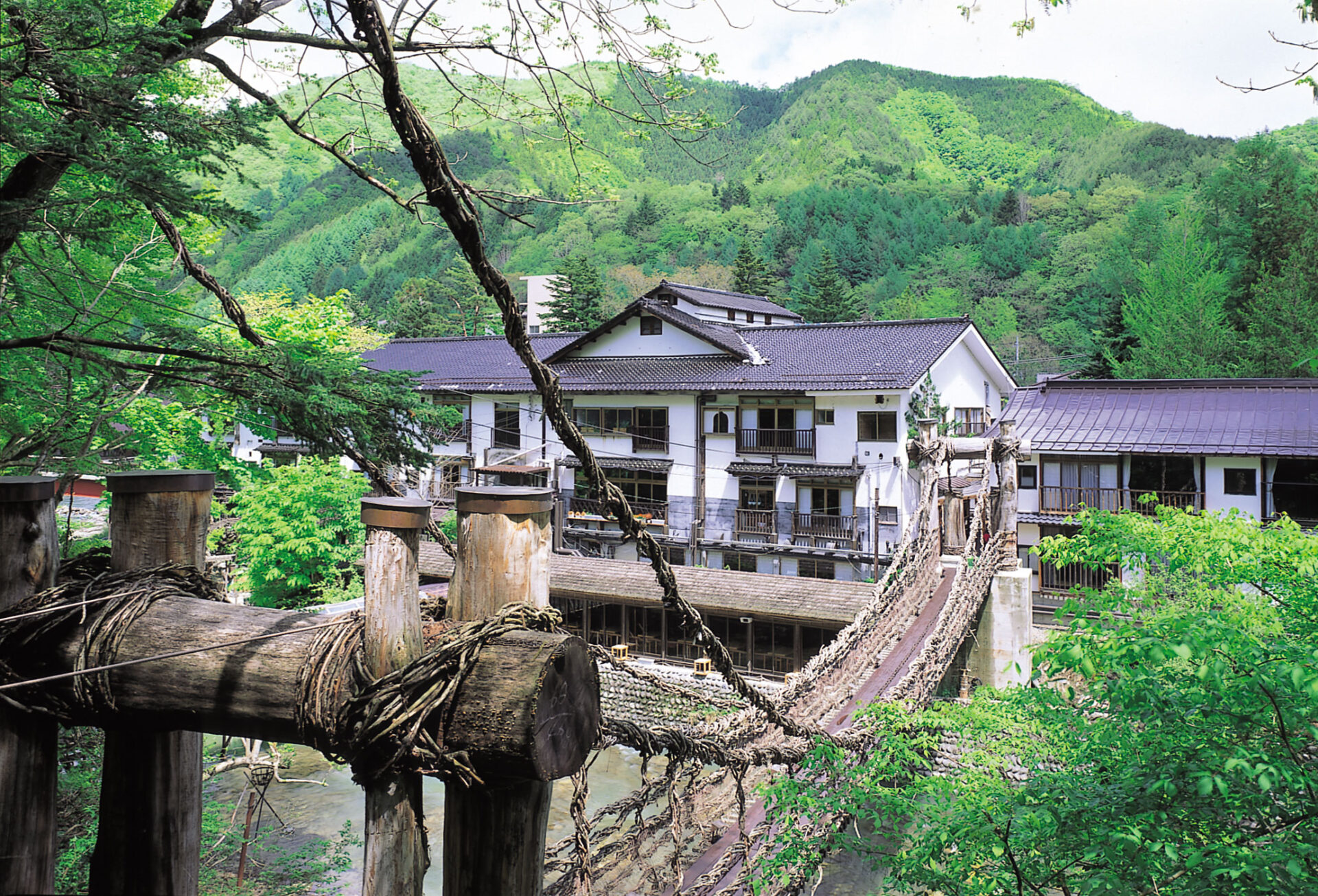 本家伴久 — 栃木・湯西川温泉 · かずら橋を渡る八百年の囲炉裏会席の宿、緑に囲まれた渓谷の全景