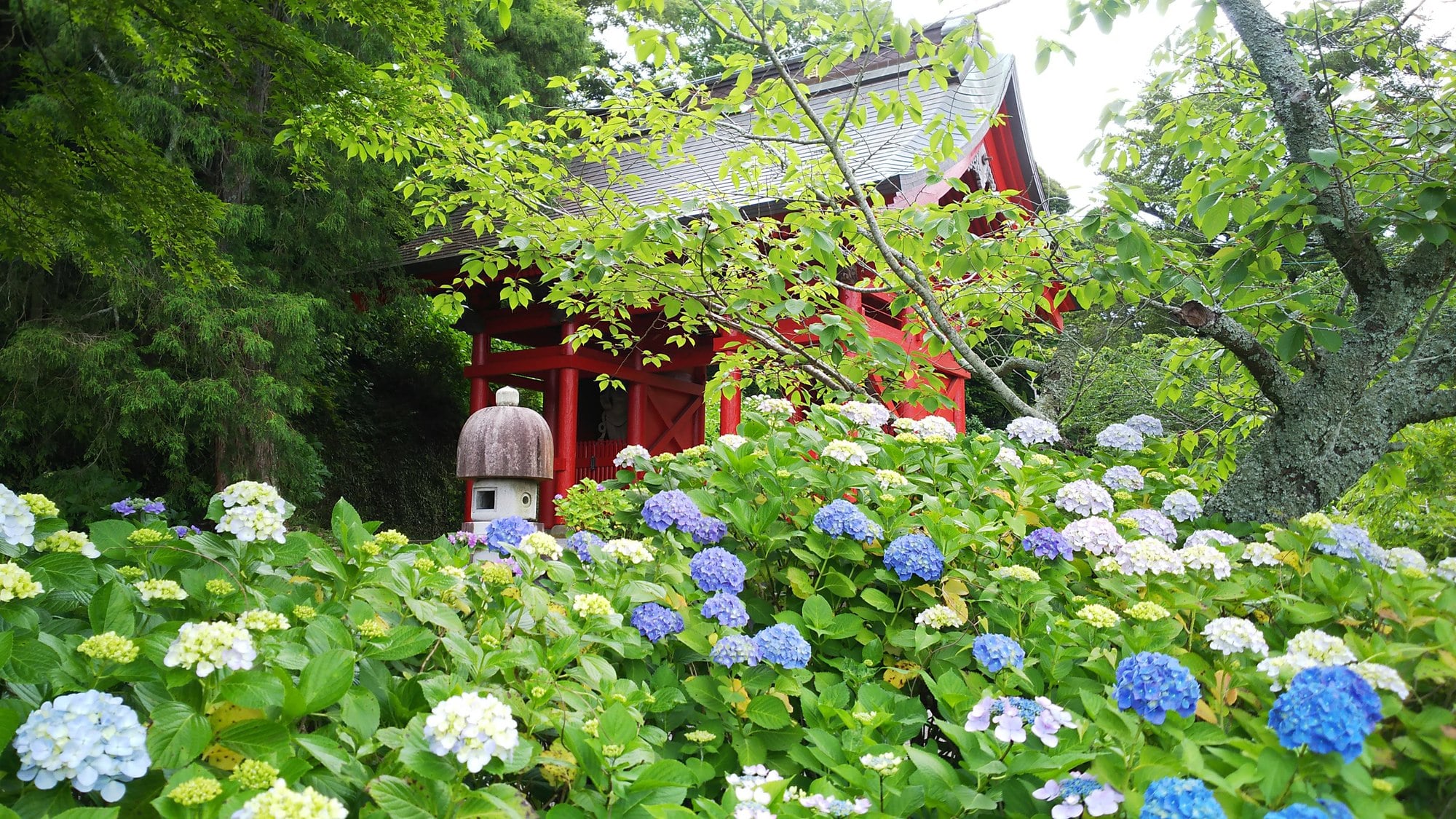 休暇村 館山 — 館山市 · 全室オーシャンビュー、海水プールを備えた海辺の温泉リゾート