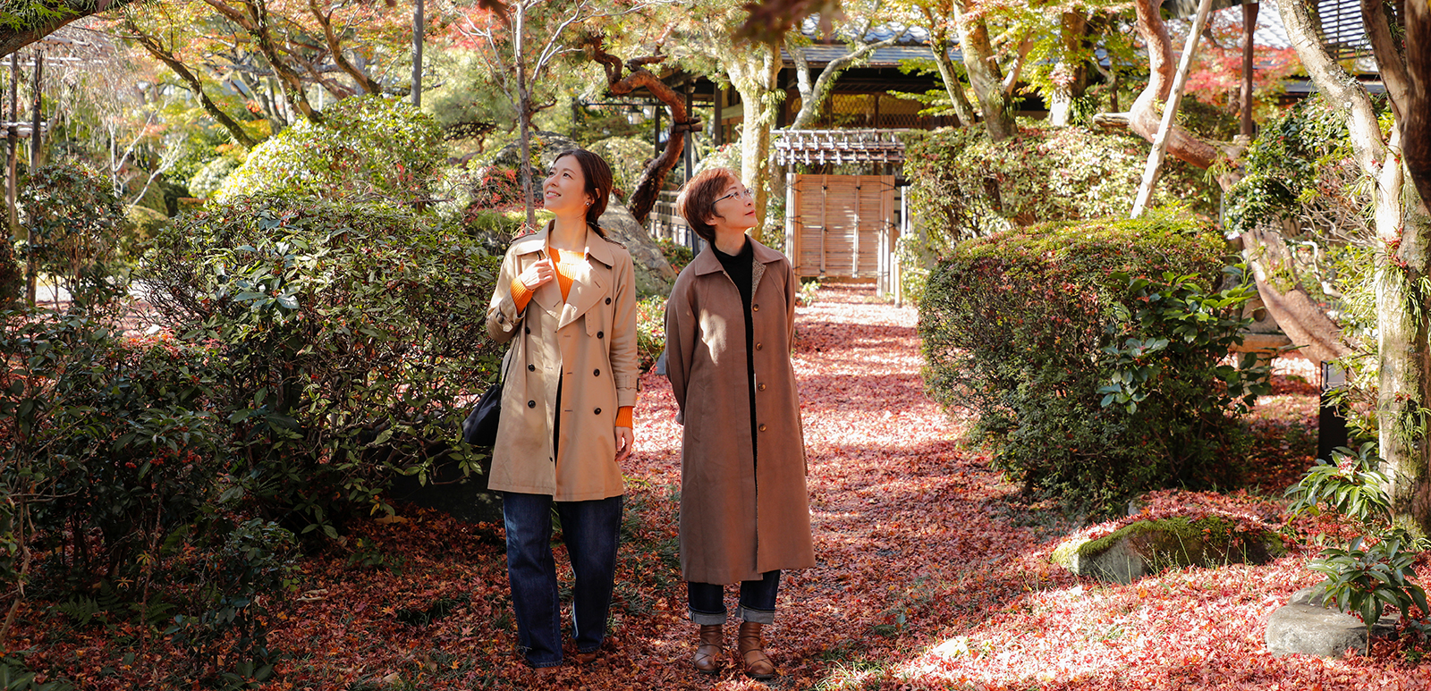 京都嵐山 花のいえ — 京都・嵯峨 · 角倉了以邸址、紅葉の庭を歩く