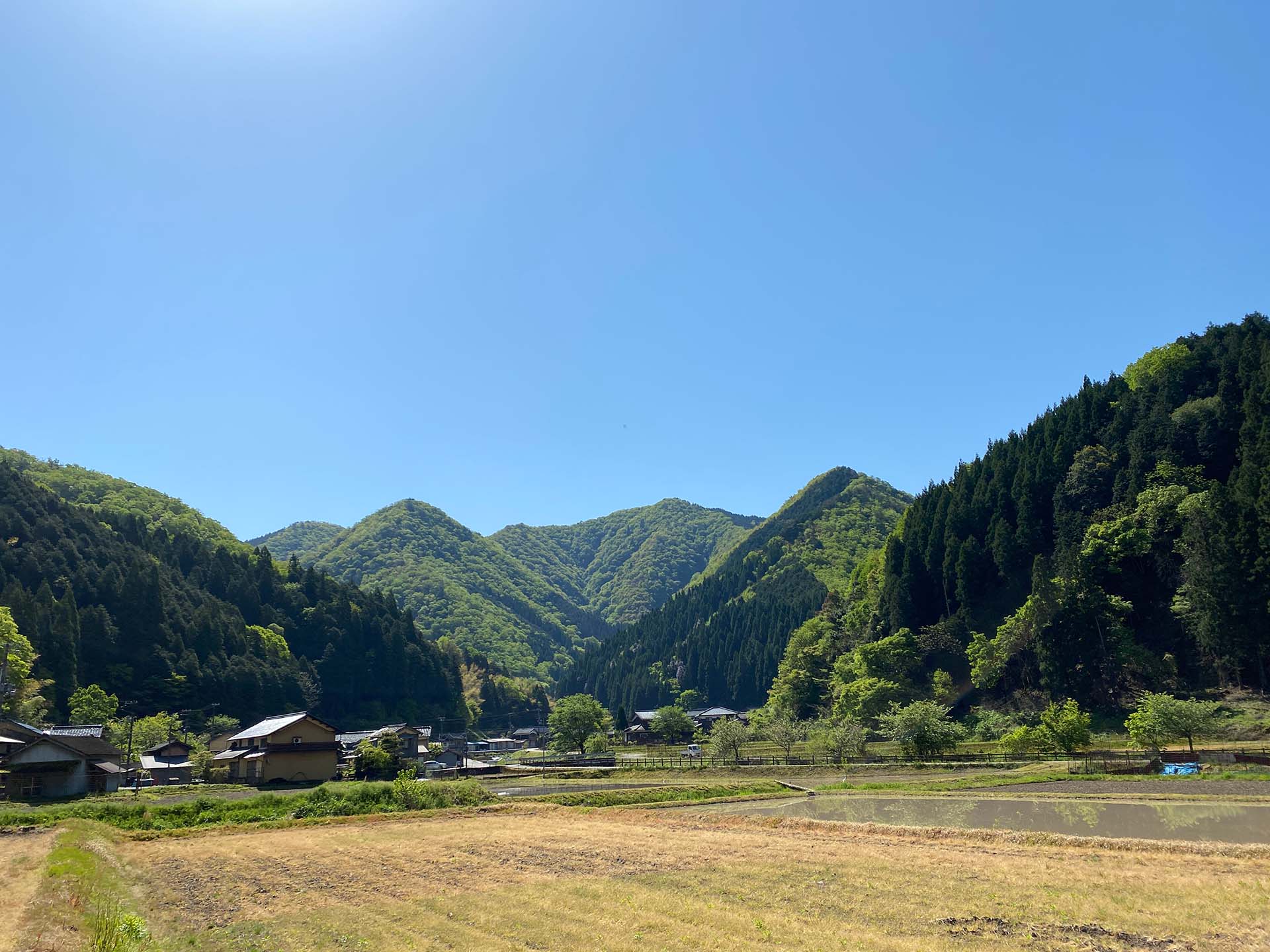 ほたるの館 — 兵庫・養父市奥米地 · 大正末期の旧養父町役場を移築した、ほたるの水辺公園隣接の宿