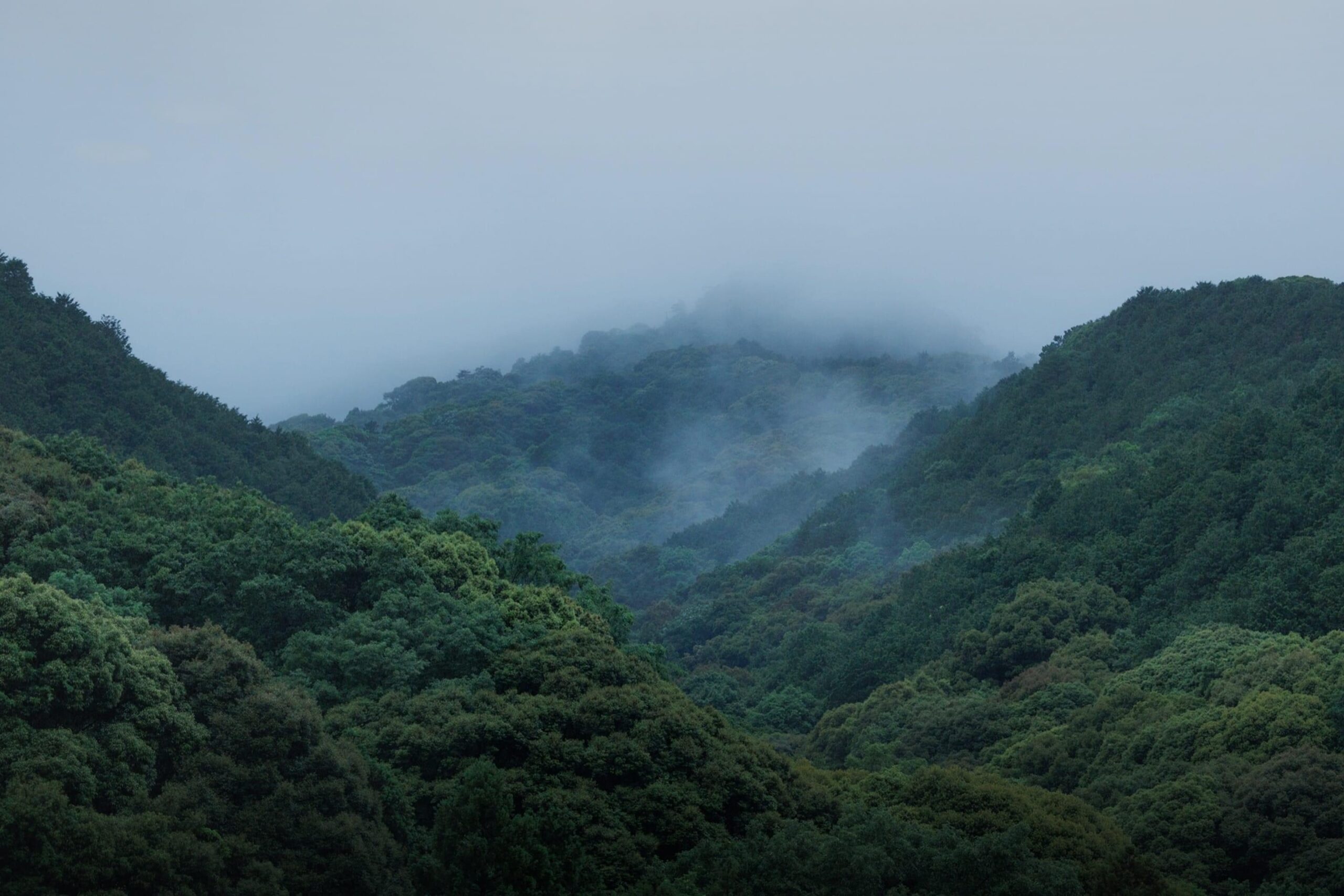 長門湯本温泉 大谷山荘 — 山口県長門市・音信川沿い · 家族向け温泉旅館の外観と川辺