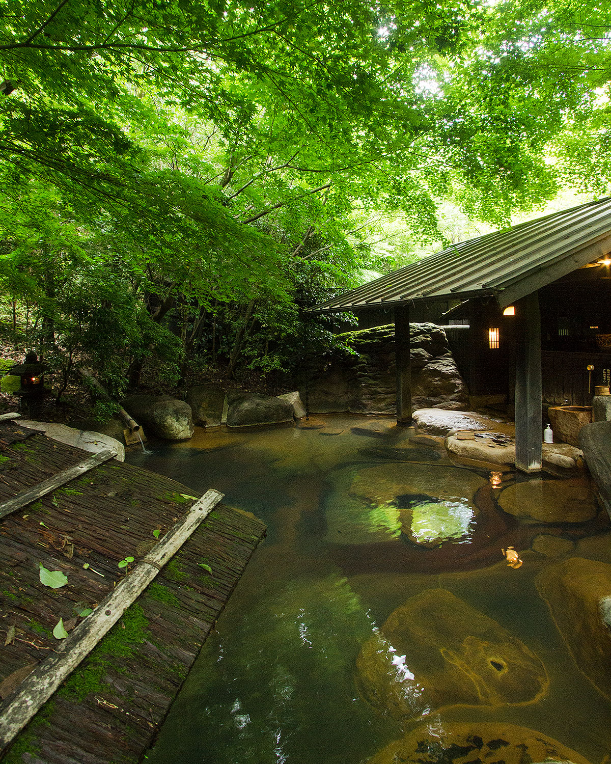旅館 山河 — 熊本・黒川温泉 · 二つの自家源泉と貸切風呂を含む七つの湯を持つ森の宿
