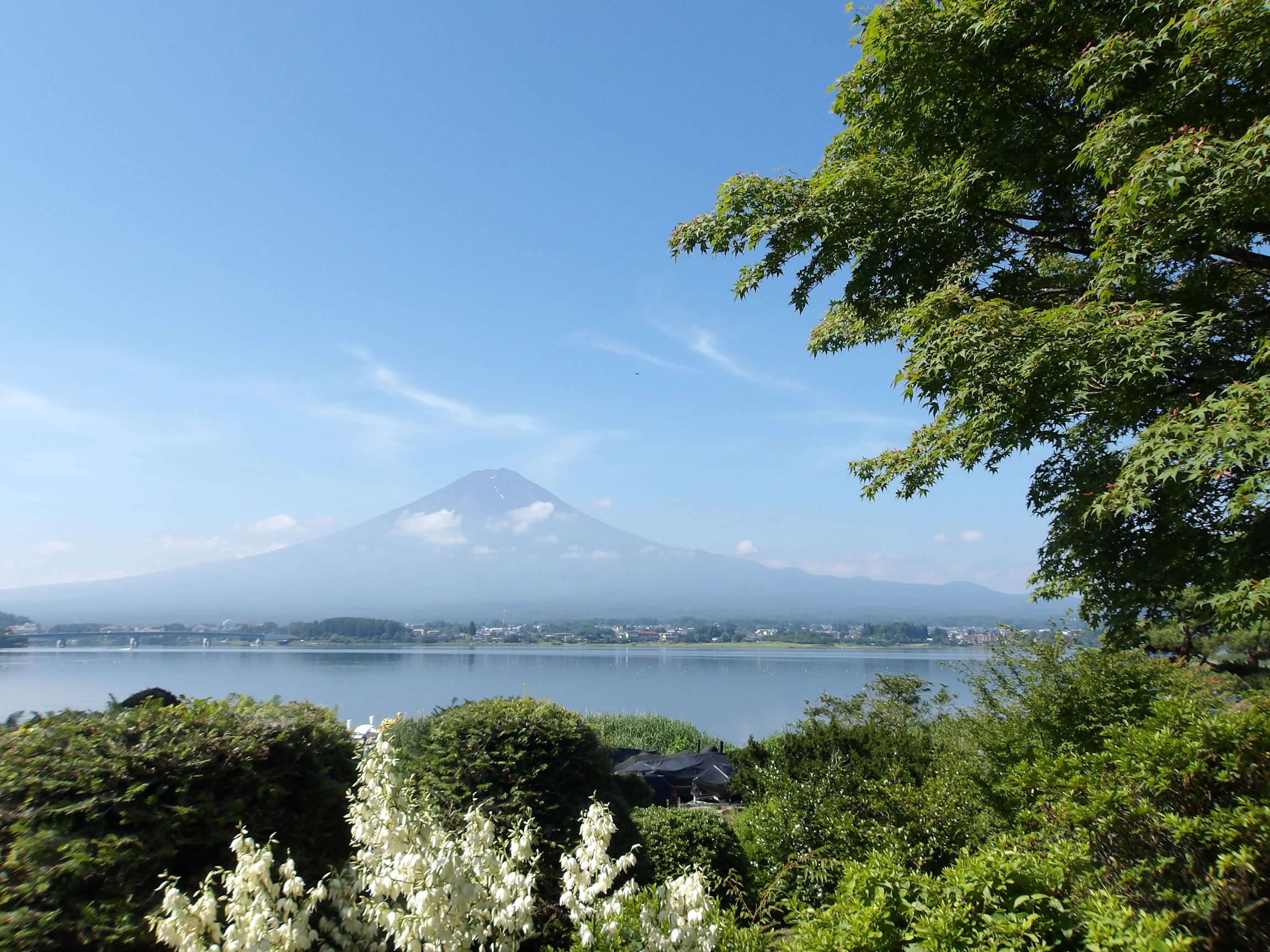 秀峰閣 湖月 — 富士河口湖町河口 · 全客室から富士山と河口湖を望む湖畔の温泉宿