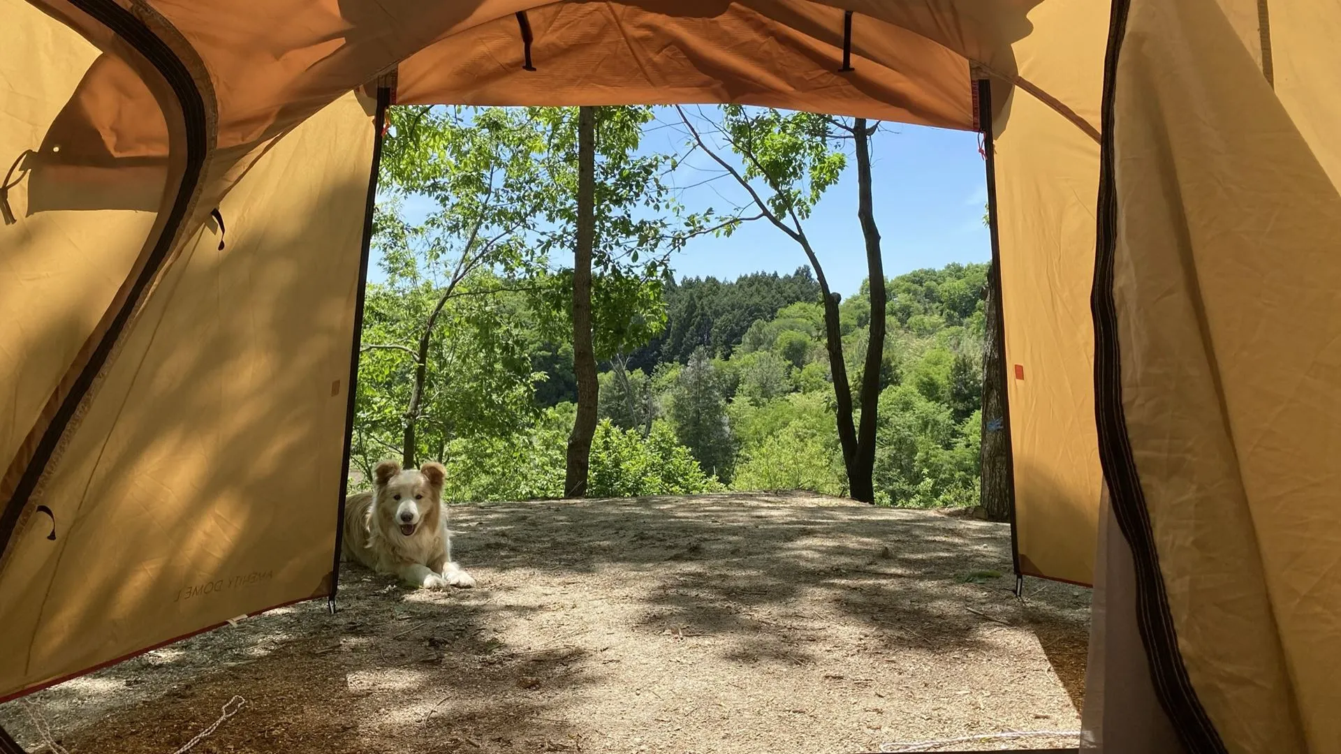 里山パーク おいらの森 — 栃木・那須烏山 · 広葉樹林に囲まれた焚き火のできるキャンプ場