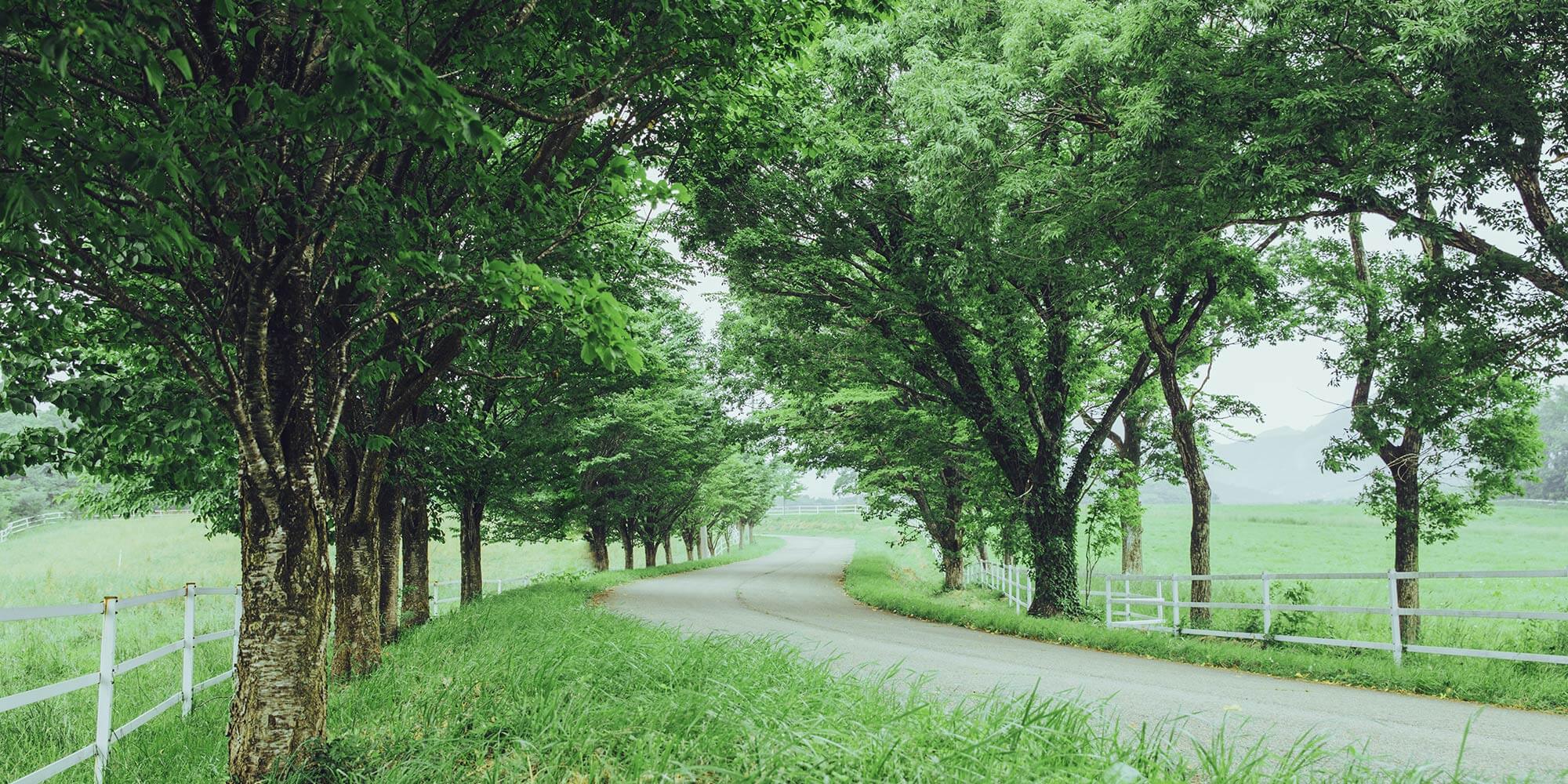 THE KEY HIGHLAND NASU — 栃木・那須高原 · 全室オールインクルーシブの高原アクティビティリゾート