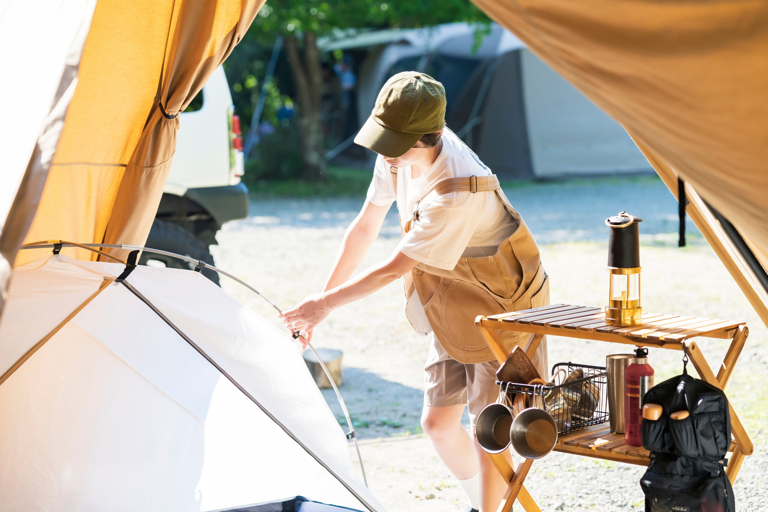 パルコールつま恋リゾート — 嬬恋村・バラギ高原 · 夏の山頂ゴンドラから見る北アルプスの稜線